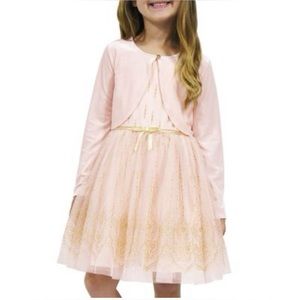 🩷💛Zunie Girl Special Occasion Dress, Blush/Gold, Size 18 Mths